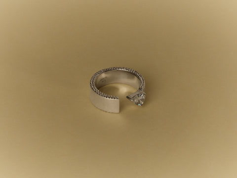 Drop Ring